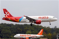 Miguel A. gueda Rguez.  (CANARY ISLANDS SPOTTING). Click to see full size photo
