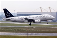 Javier de la Cruz - CANARY ISLANDS SPOTTING. Click to see full size photo