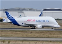 ©Luis Rguez - La Palma Spotting. Click to see full size photo ©Luis Rguez - La Palma Spotting. Click to see full size photo