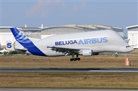 Miguel A. gueda Rguez.  (CANARY ISLANDS SPOTTING). Click to see full size photo