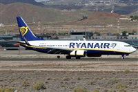 Alfonso Sols - Asociacin Canary Islands Spotting. Click to see full size photo