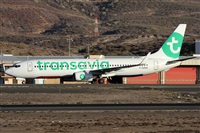 ©Alfonso Solís - Asociación Canary Islands Spotting. Click to see full size photo ©Alfonso Solís - Asociación Canary Islands Spotting. Click to see full size photo