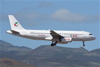 ©J. Victor Vega-Gran Canaria Spotters. Click to see full size photo ©J. Victor Vega-Gran Canaria Spotters. Click to see full size photo