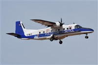 ©J. Victor Vega-Gran Canaria Spotters. Click to see full size photo ©J. Victor Vega-Gran Canaria Spotters. Click to see full size photo