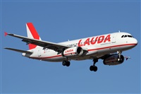 Alfonso Sols - Asociacin Canary Islands Spotting. Click to see full size photo