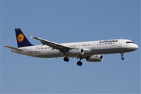 Alfonso Sols - Asociacin Canary Islands Spotting. Haz click para ampliar