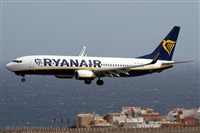 Alfonso Sols - Asociacin Canary Islands Spotting. Click to see full size photo