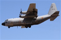 Alfonso Sols - Asociacin Canary Islands Spotting. Click to see full size photo