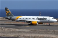 ©Alfonso Solís - Asociación Canary Islands Spotting. Click to see full size photo ©Alfonso Solís - Asociación Canary Islands Spotting. Click to see full size photo