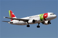 ©Alfonso Solís - Asociación Canary Islands Spotting. Click to see full size photo ©Alfonso Solís - Asociación Canary Islands Spotting. Click to see full size photo