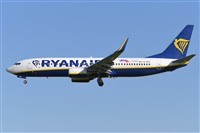 Miguel A. gueda Rguez.  (CANARY ISLANDS SPOTTING). Click to see full size photo