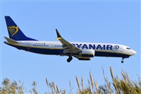 Miguel A. gueda Rguez.  (CANARY ISLANDS SPOTTING). Haz click para ampliar