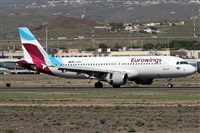 ©Alfonso Solís - Asociación Canary Islands Spotting. Click to see full size photo ©Alfonso Solís - Asociación Canary Islands Spotting. Click to see full size photo