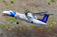 Miguel A. gueda Rguez.  (CANARY ISLANDS SPOTTING). Haz click para ampliar