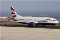 ©Alfonso Solís - Asociación Canary Islands Spotting. Click to see full size photo ©Alfonso Solís - Asociación Canary Islands Spotting. Click to see full size photo