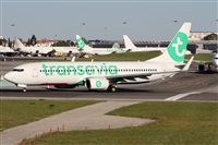 Alfonso Sols - Asociacin Canary Islands Spotting. Click to see full size photo