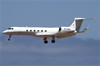 Alfonso Sols - Asociacin Canary Islands Spotting. Click to see full size photo
