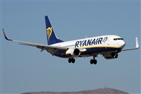 Alfonso Sols - Asociacin Canary Islands Spotting. Click to see full size photo