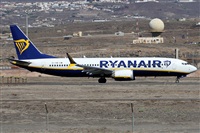 Alfonso Sols - Asociacin Canary Islands Spotting. Haz click para ampliar