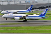 Miguel A. gueda Rguez.  (CANARY ISLANDS SPOTTING). Click to see full size photo
