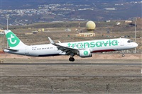Miguel A. gueda Rguez.  (CANARY ISLANDS SPOTTING). Haz click para ampliar
