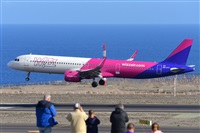 Miguel A. gueda Rguez.  (CANARY ISLANDS SPOTTING). Click to see full size photo