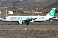 ©Alfonso Solís - Asociación Canary Islands Spotting. Click to see full size photo ©Alfonso Solís - Asociación Canary Islands Spotting. Click to see full size photo