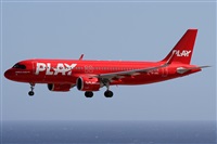 �Alfonso Sol�s - Asociaci�n Canary Islands Spotting. Click to see full size photo