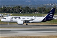 �Toni Marimon. Click to see full size photo