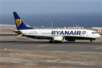 �Alfonso Sol�s - Asociaci�n Canary Islands Spotting. Click to see full size photo