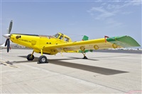 �Adri�n Alonso Lemes - Lanzarote Spotters. Click to see full size photo