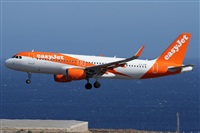 �Alfonso Sol�s - Asociaci�n Canary Islands Spotting. Click to see full size photo