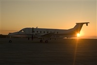 Javier de la Cruz - CANARY ISLANDS SPOTTING. Click to see full size photo