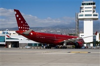 Javier de la Cruz - CANARY ISLANDS SPOTTING. Click to see full size photo