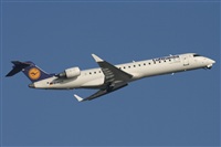©José Miguel Bernases - Noisy Spotters. Click to see full size photo