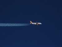 Airbus320FDriver. Click to see full size photo