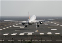 Adrin Alonso Lemes - Lanzarote Spotters. Haz click para ampliar
