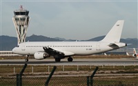 Rubn Gil - Noisy Spotters. Click to see full size photo