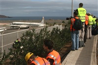 Adrin Alonso Lemes - Lanzarote Spotters. Haz click para ampliar