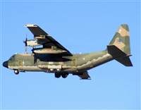 Alex Carneiro-www.portugalspotters.org. Click to see full size photo