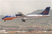 Alfonso Sols - Asociacin Canary Islands Spotting. Click to see full size photo