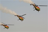 Andr Garcez - apeapt.com. Click to see full size photo