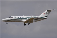 Jos Miguel Bernases - Noisy Spotters. Click to see full size photo