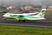 Nacho Rodriguez - Canary Islands Spotting. Click to see full size photo