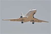 Miguel A. gueda Rguez.  (CANARY ISLANDS SPOTTING). Click to see full size photo