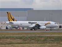 Rubn Gil - Noisy Spotters. Click to see full size photo