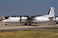 Javier de la Cruz - CANARY ISLANDS SPOTTING. Click to see full size photo