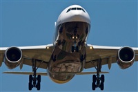 Ismael -Costa del Sol Spotters- (Fuengirola). Click to see full size photo