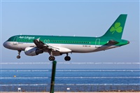 Florencio Martn Melin - Lanzarote Spotters. Click to see full size photo