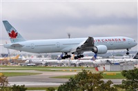 Rubn Gil - Noisy Spotters. Click to see full size photo